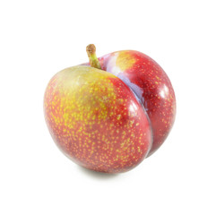 plums isolated on white