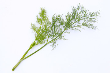 Dill