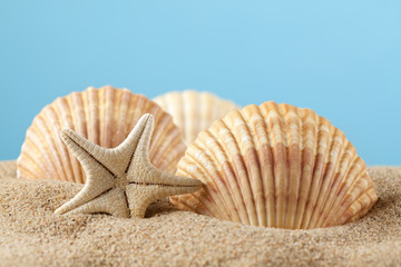 Fototapeta na wymiar Starfish and seashells on sand