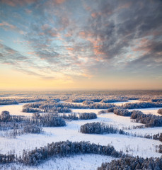Top view of winter forest at frosty evening - obrazy, fototapety, plakaty