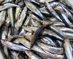 fish (Pacific saury) for sale in market