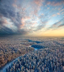 Deurstickers Winter Top view of winter forest
