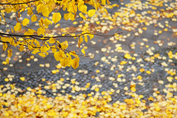 Herbstzeit
