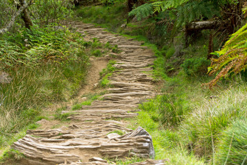 Abstrakte Wanderwege