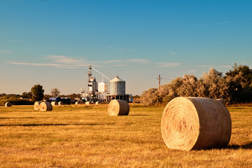 Obraz premium Farmland