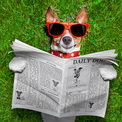 dog reading newspaper