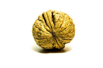 Single walnut isolated on a white background