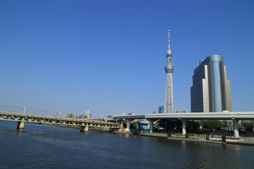 Fototapeta na wymiar Tokyo Sky tree with blue sky, Tokyo