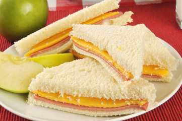 Bologna and cheese sandwich