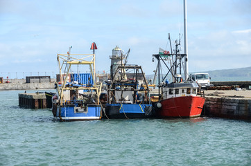 Fishing Boats in Harbour