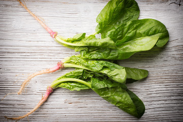Fototapeta premium Spinach.