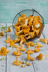 Forest chanterelle mushrooms in a basket