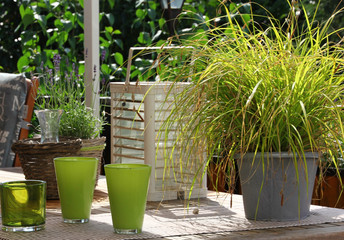 Garten