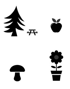 Nature en 4 icônes