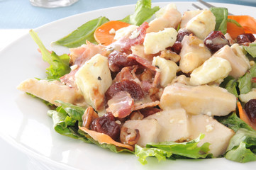Dried cherry salad