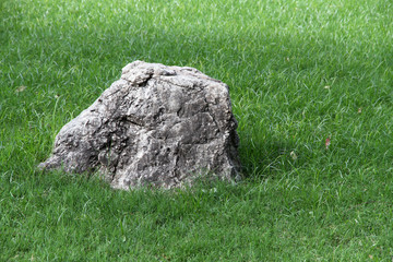 Big stone among a green grass. Symbol.