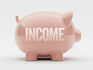 Income Concept