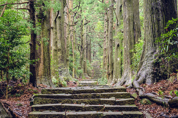 Kumano Kodo in Wakayama, Japan at Daimon Slope