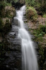 Deep forest waterfall at National Park Si-satchanalai Thailand