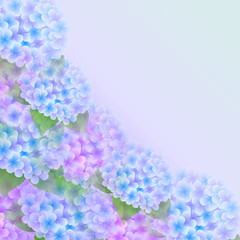 あじさい　花　背景