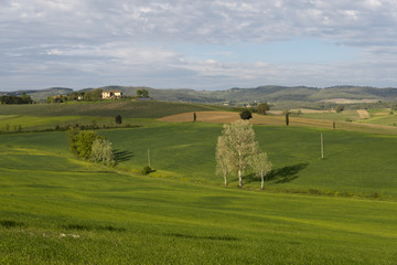 Chianti Landscape