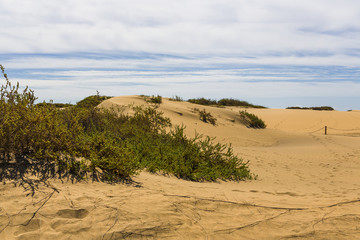 Maspalomas Duna - Desert in Canary island Gran Canaria