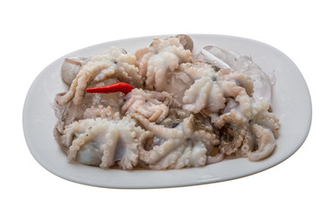 Raw octopus