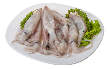 Raw calamari