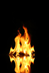 Fototapeta premium Flame of fire in a night-time