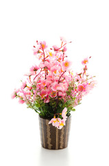 Bouquet of flower