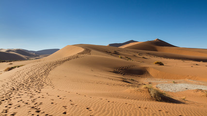 Fototapeta na wymiar Path on the sand dune