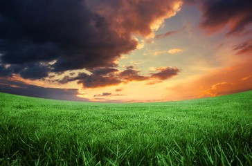 Green field under orange sky