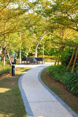 Tranquil Garden with footpath through