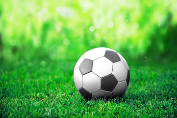 Fototapeta premium soccer ball