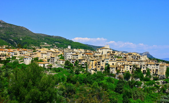 tourette sur loup