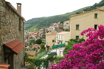 Fototapeta na wymiar The village of Olmeto on the island of Corsica