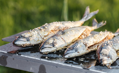 grilled fish