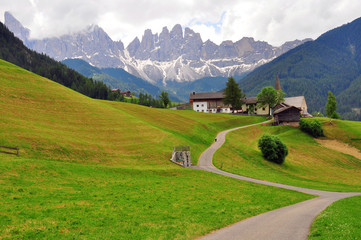 Meadow in Dolomites, Italy