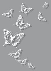 butterflies design