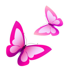 butterflies design