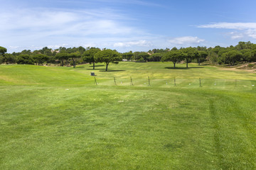 Fototapeta premium Training golf course in the Vilamoura coastline