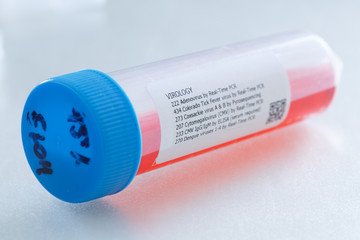 Molecular Diagnostic (PCR) Testing