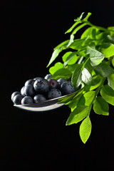 blueberry