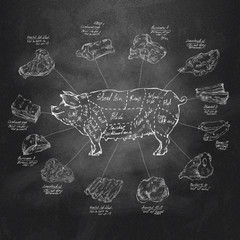 Pig. Vector format
