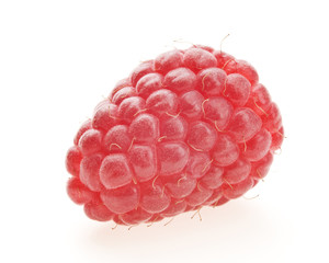 Red berry raspberry isolated on white background