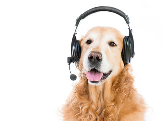 Retriever with headset