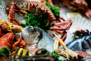 Raw seafood