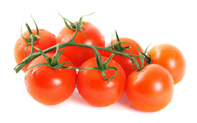 Tomatoes