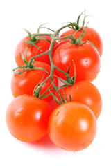 Tomatoes