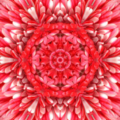 Red Mandala Concentric Flower Center Kaleidoscope